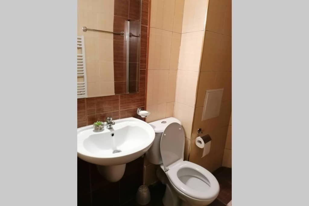 Sunny Studio Apartment - Few Steps From Gondola Bansko Esterno foto