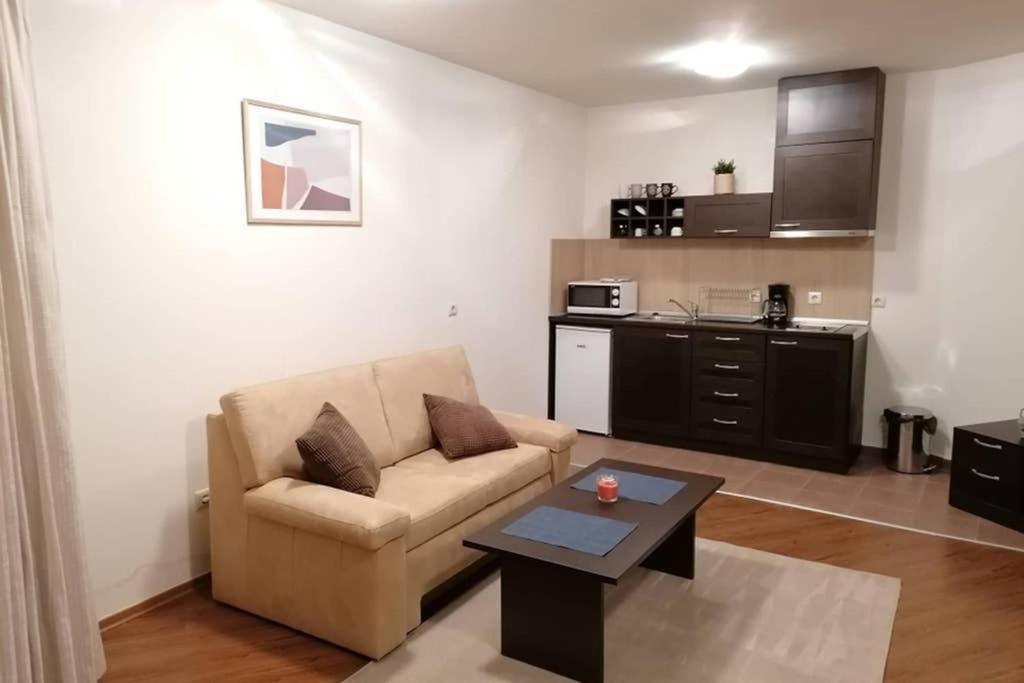 Sunny Studio Apartment - Few Steps From Gondola Bansko Esterno foto