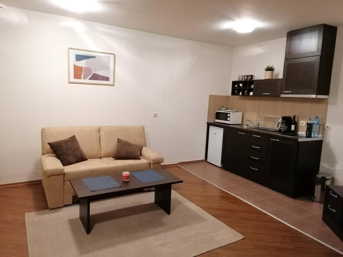 Sunny Studio Apartment - Few Steps From Gondola Bansko Esterno foto