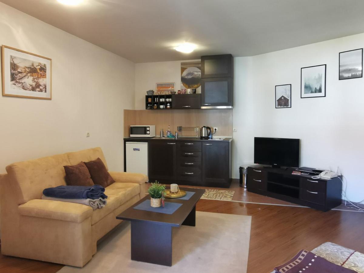 Sunny Studio Apartment - Few Steps From Gondola Bansko Esterno foto