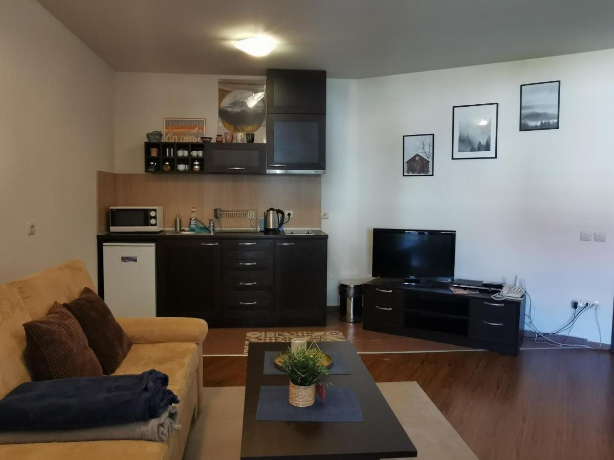 Sunny Studio Apartment - Few Steps From Gondola Bansko Esterno foto