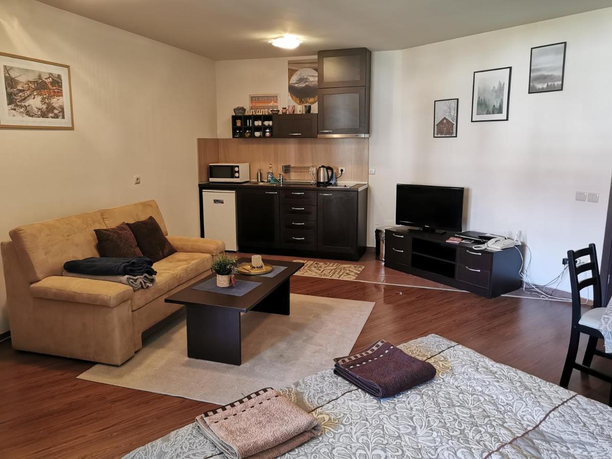 Sunny Studio Apartment - Few Steps From Gondola Bansko Esterno foto